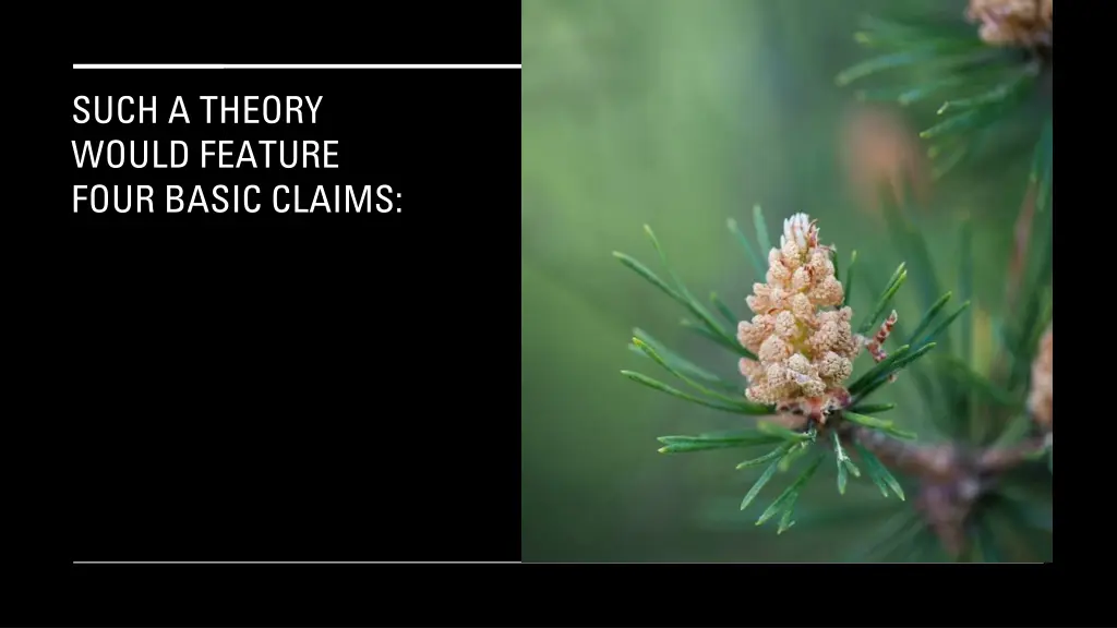 such a theory would feature four basic claims