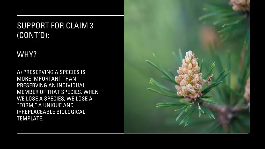 support for claim 3 cont d