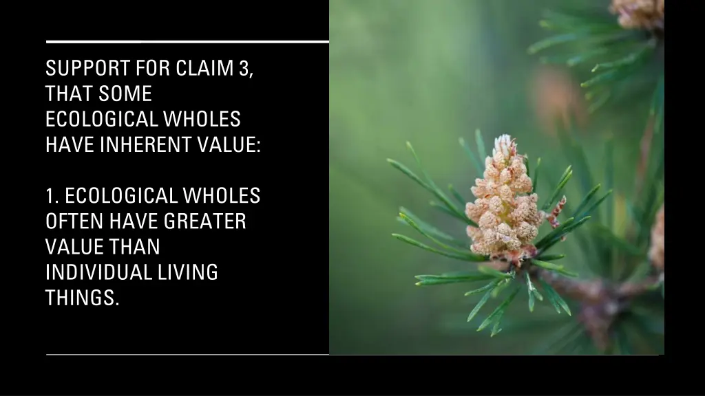 support for claim 3 that some ecological wholes