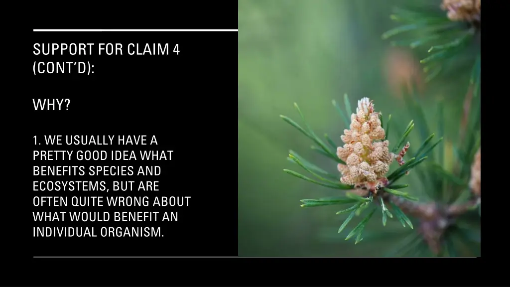 support for claim 4 cont d 2