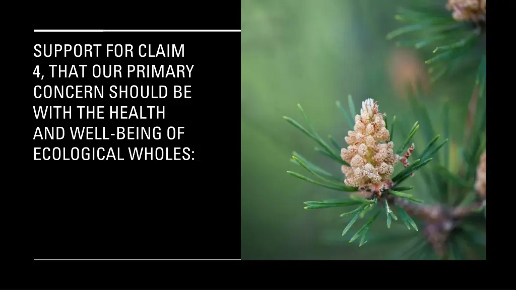 support for claim 4 that our primary concern