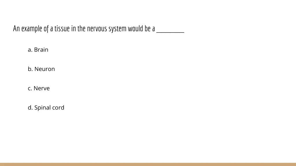 an example of a tissue in the nervous system