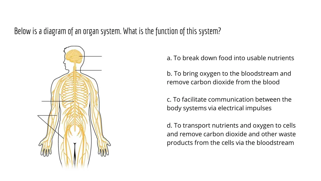 below is a diagram of an organ system what