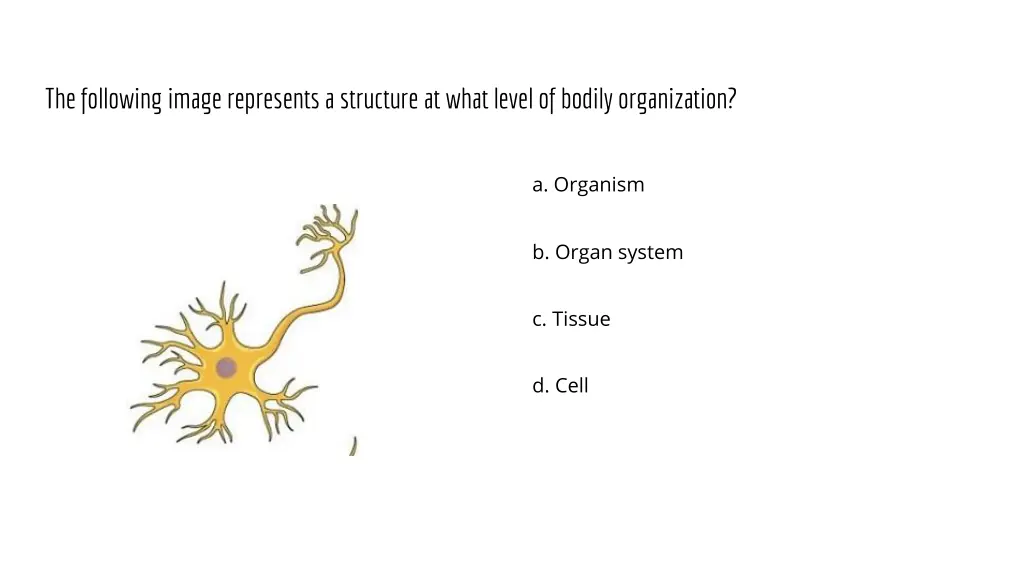 the following image represents a structure