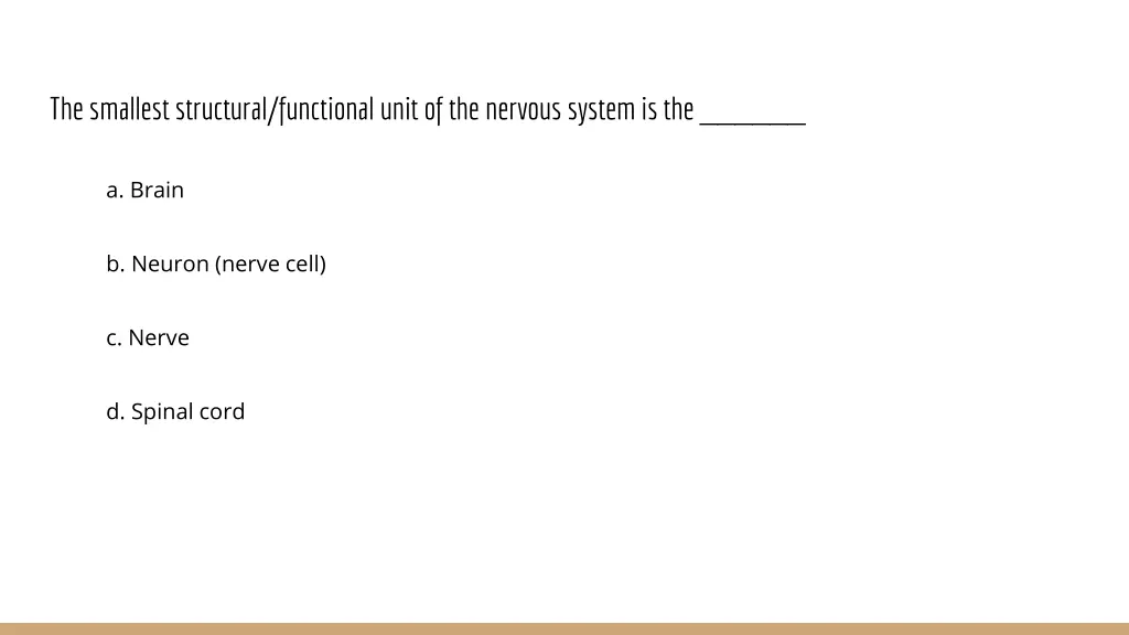 the smallest structural functional unit