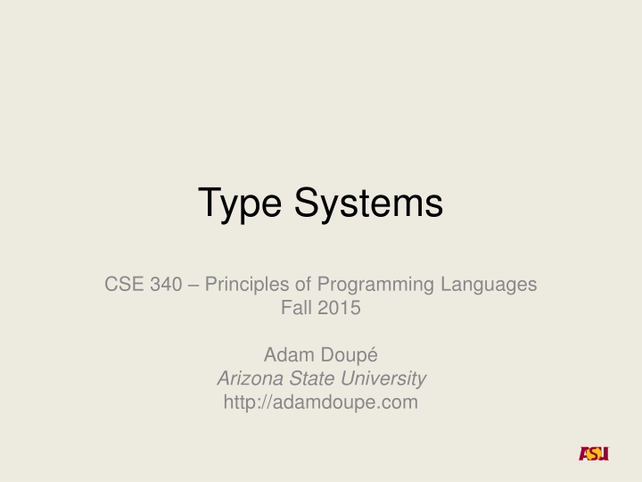 type systems