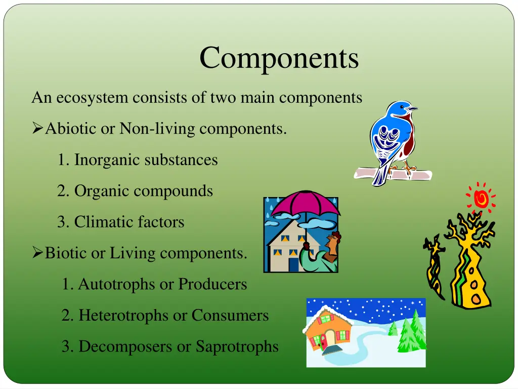 components