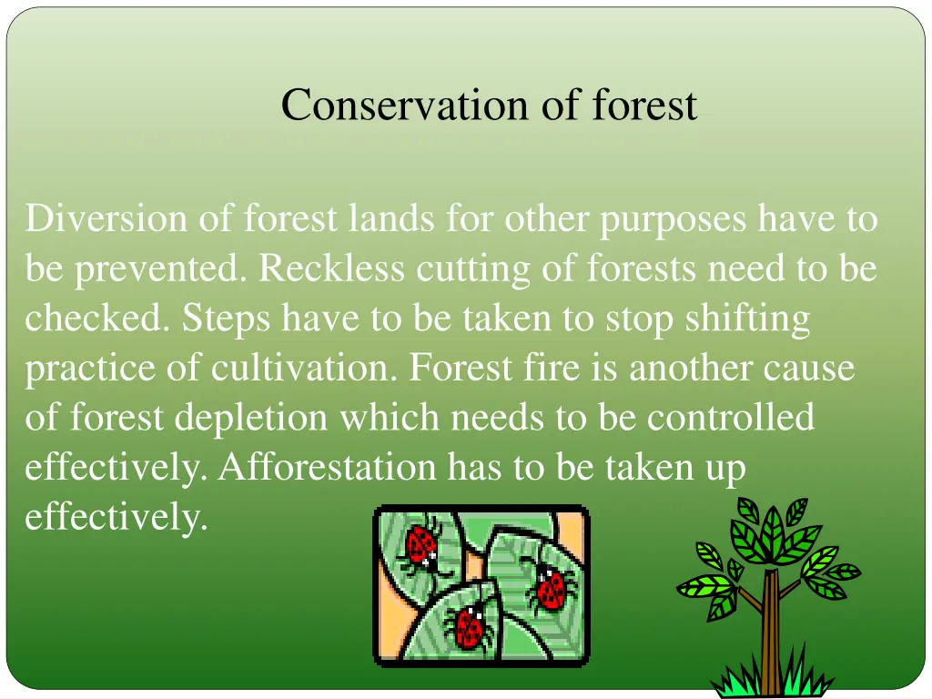 conservation of forest
