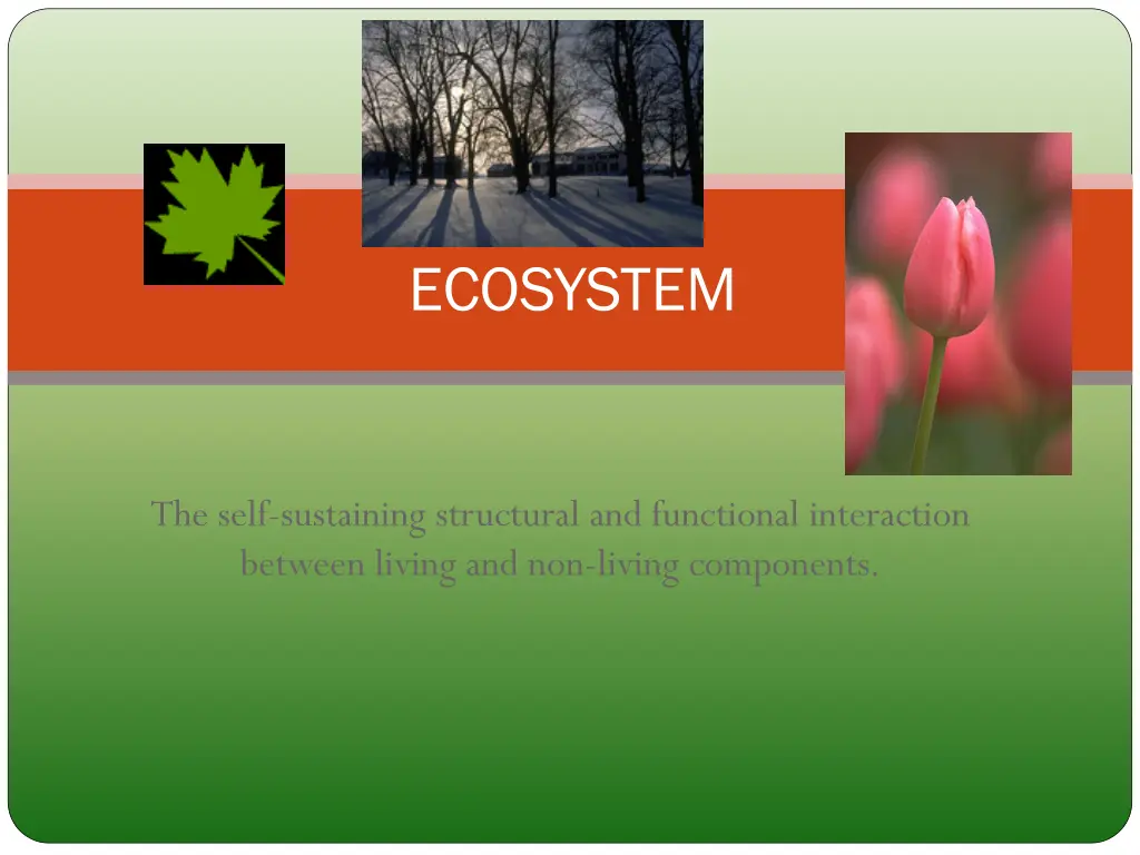 ecosystem