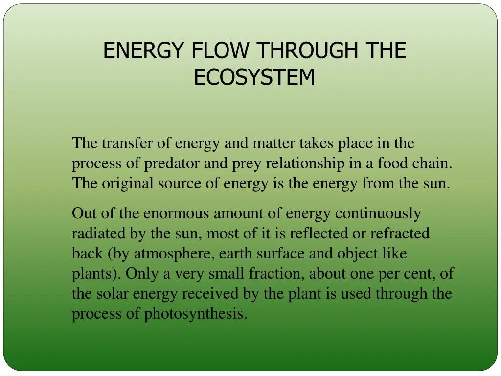 energy flow through the ecosystem