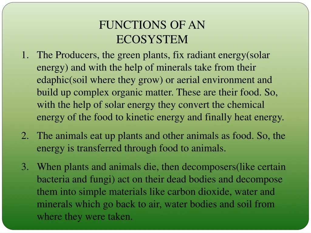 functions of an ecosystem
