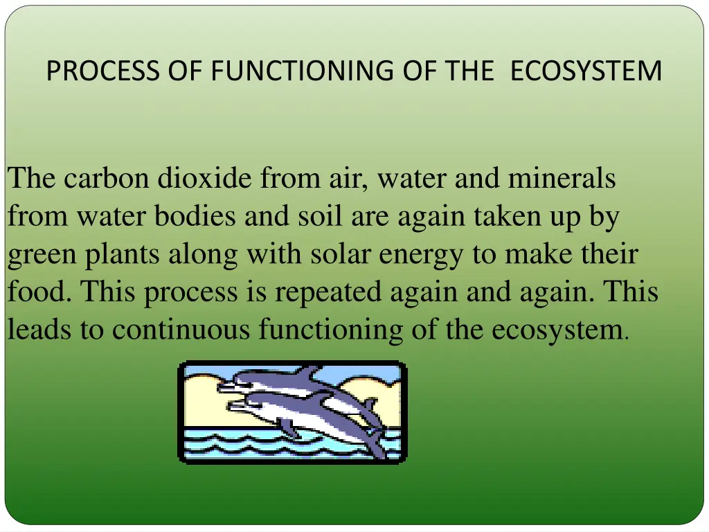 process of functioning of the ecosystem