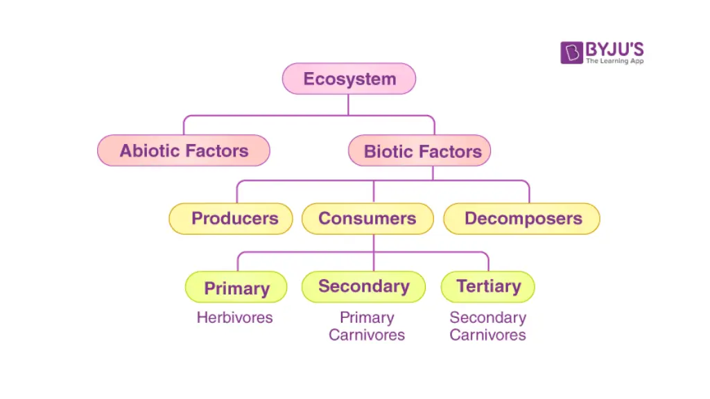 slide10