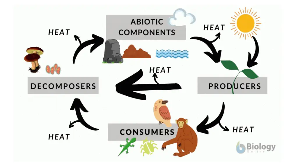 slide4