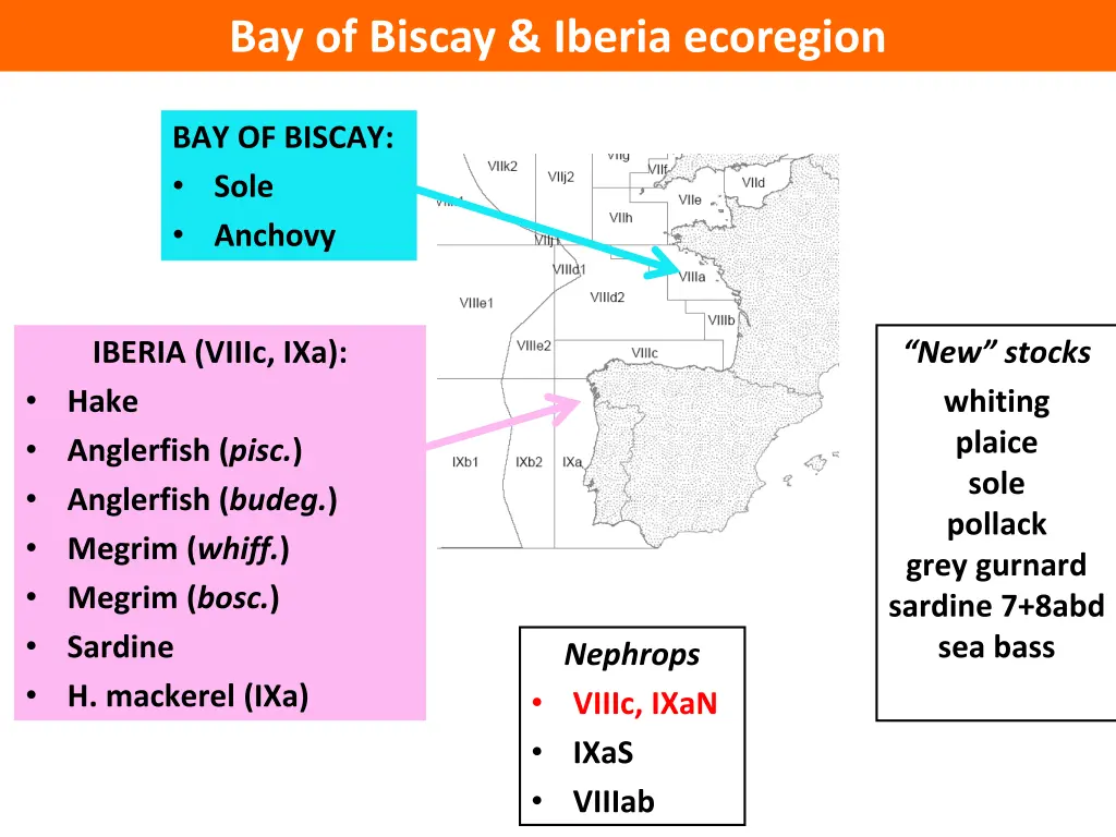 bay of biscay iberia ecoregion