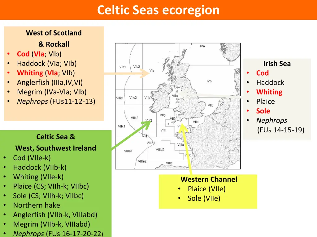 celtic seas ecoregion