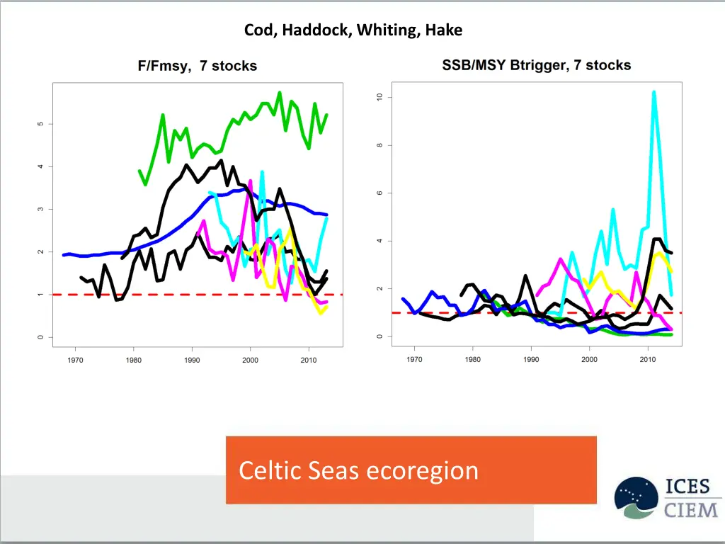 cod haddock whiting hake 1