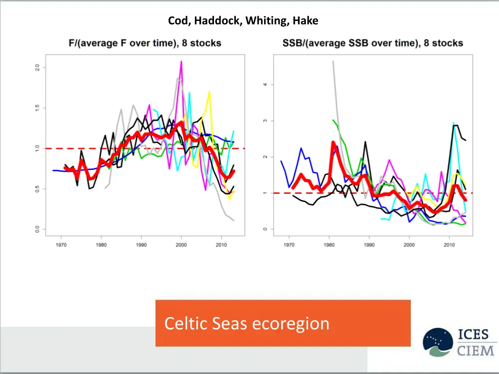 cod haddock whiting hake