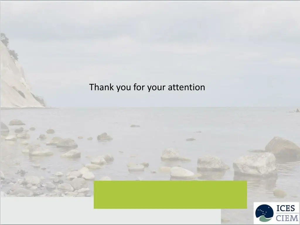 thank you for your attention
