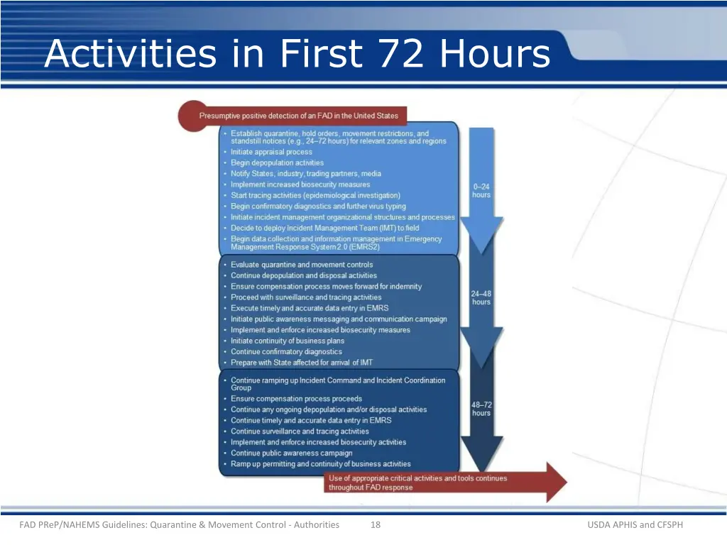 activities in first 72 hours