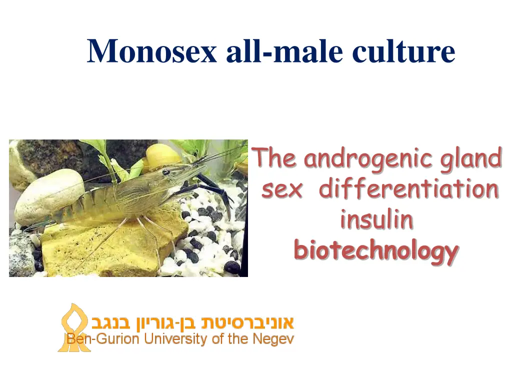 monosex all male culture