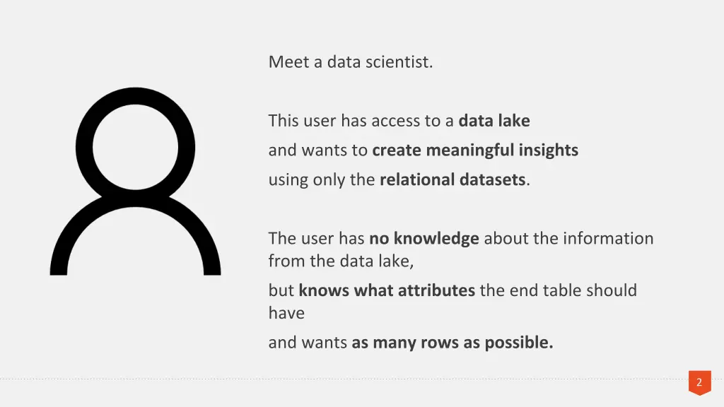 meet a data scientist