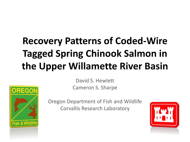 recovery patterns of coded wire tagged spring