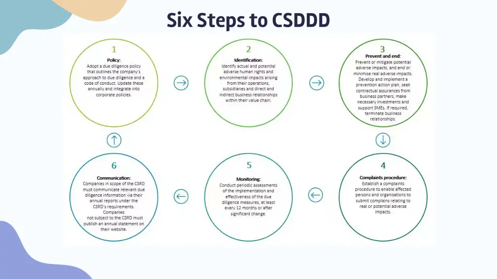six steps to csddd