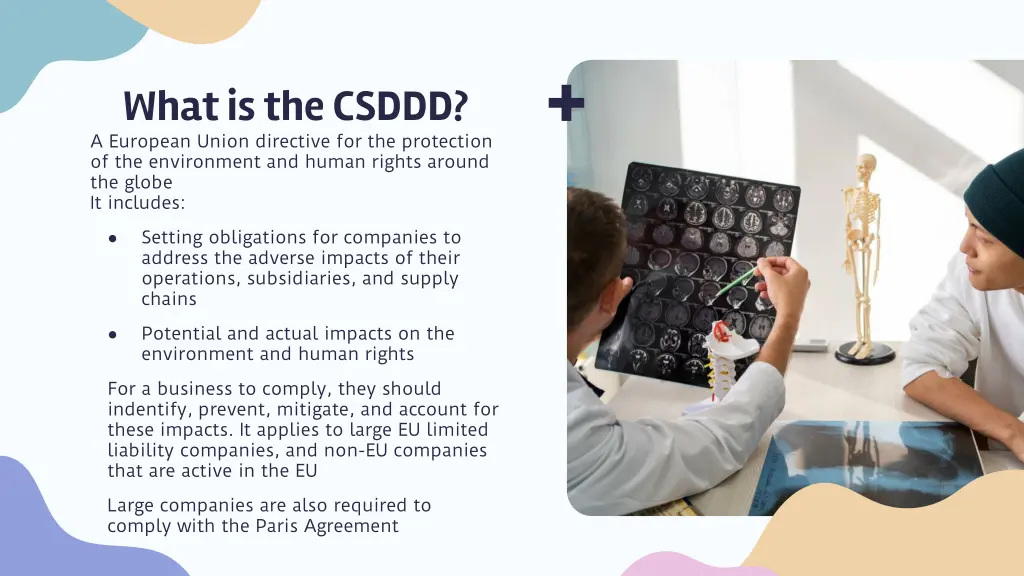 what is the csddd a european union directive
