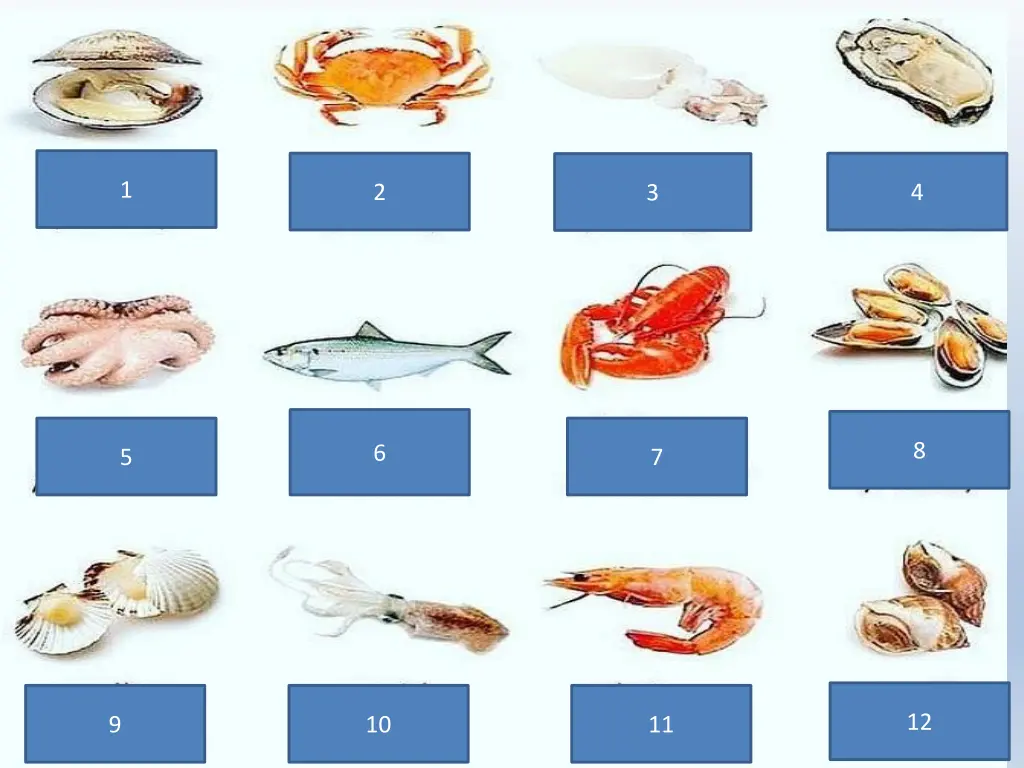 slide4