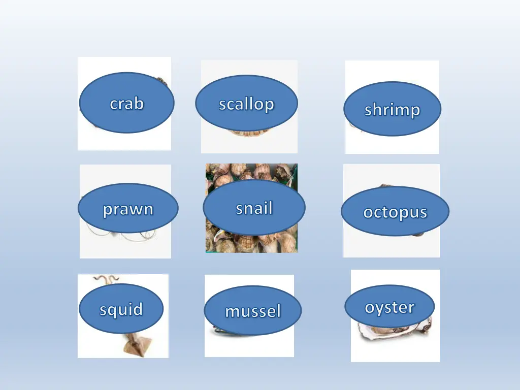 slide8