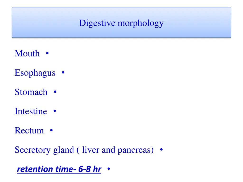 digestive morphology