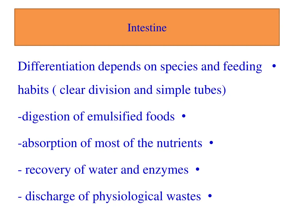 intestine