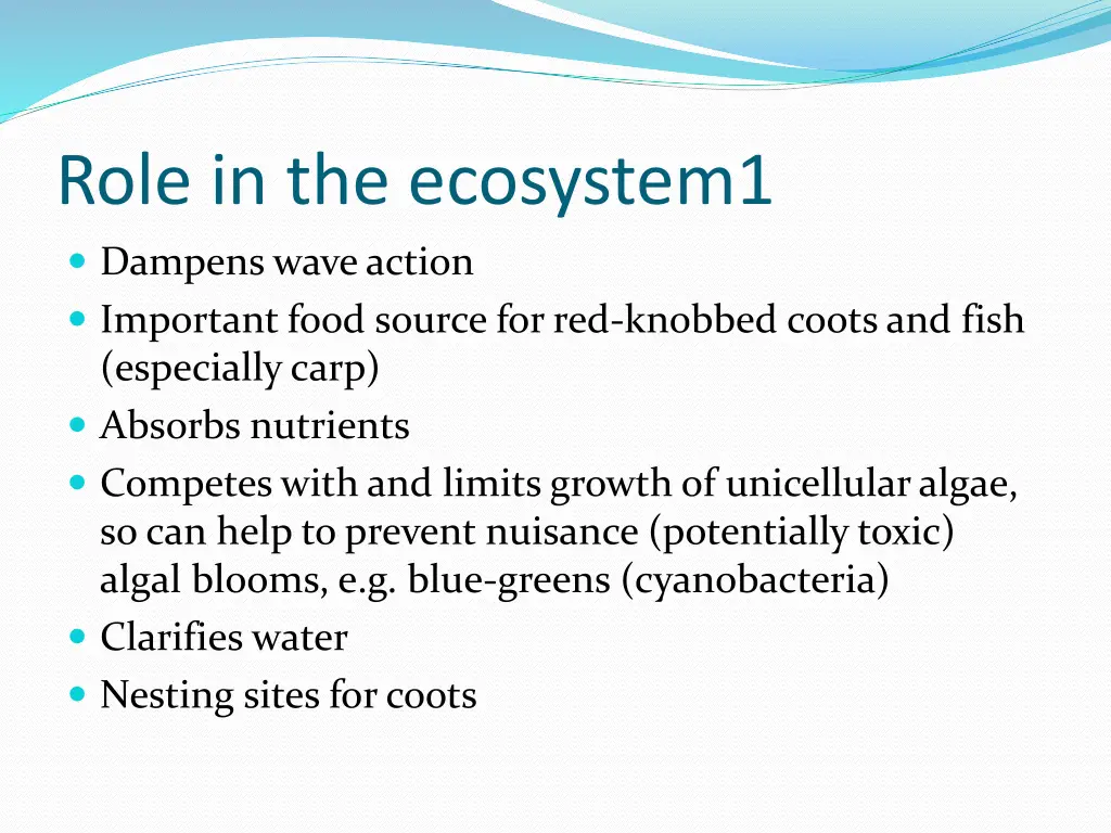 role in the ecosystem1 dampens wave action