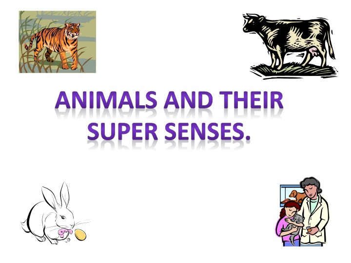 animals and their super senses
