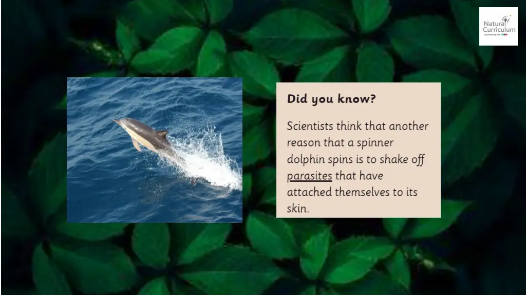 slide2