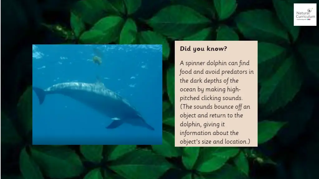 slide4