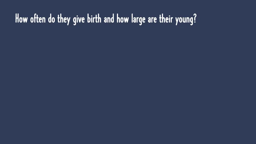 how often do they give birth and how large