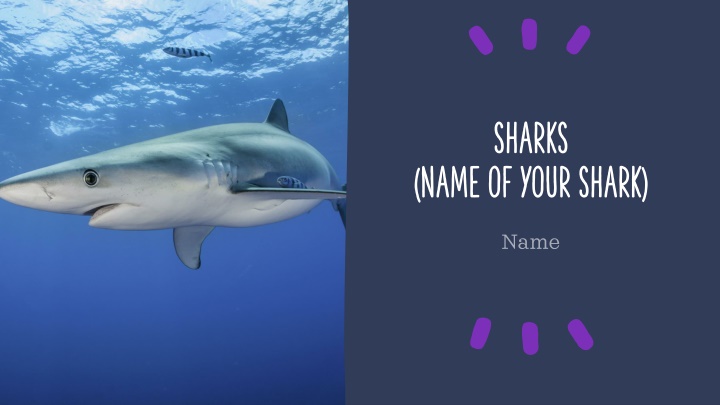 sharks