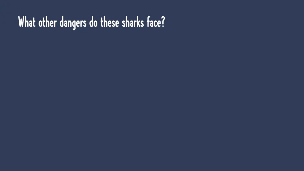 what other dangers do these sharks face what