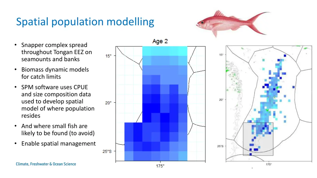 spatial population modelling