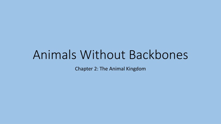 animals without backbones