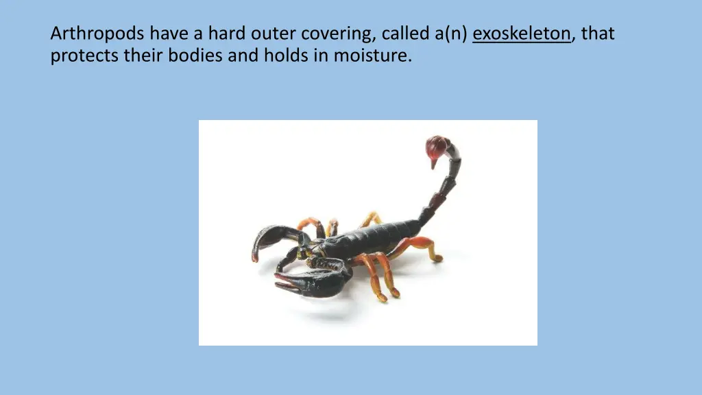 arthropods have a hard outer covering called