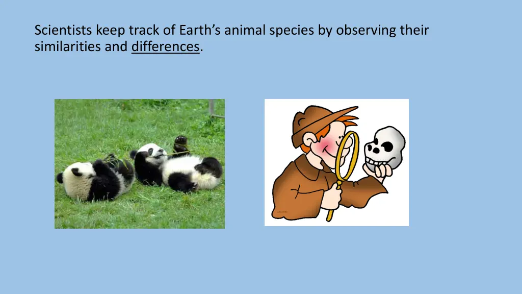 scientists keep track of earth s animal species