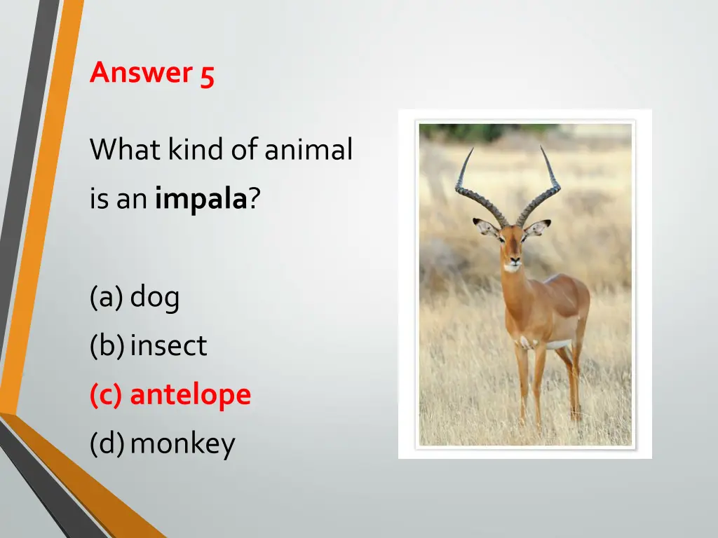 answer 5