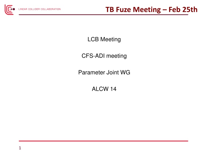 tb fuze meeting feb 25th