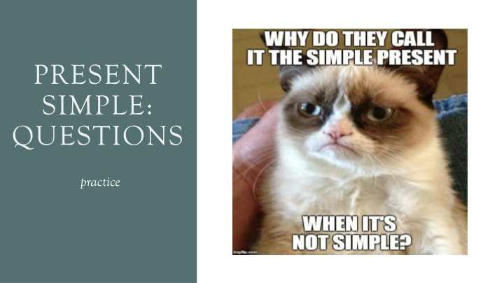 present simple questions