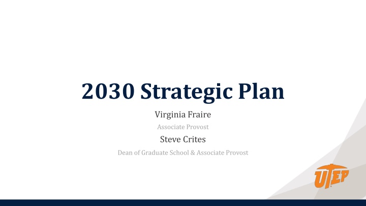 2030 strategic plan