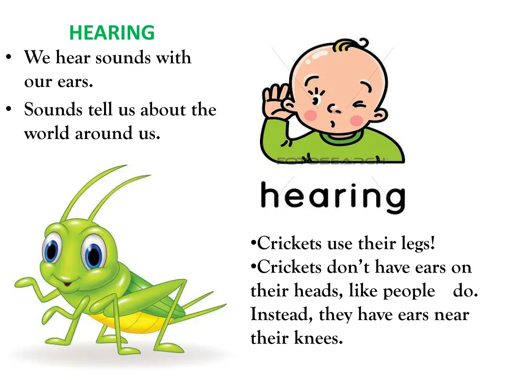 hearing