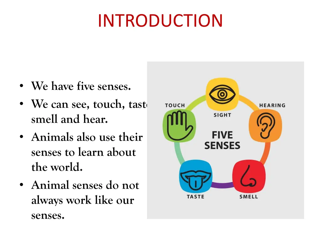 introduction
